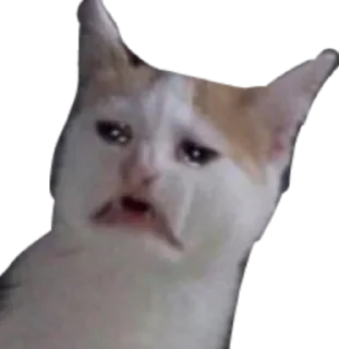 Sticker алло - 7