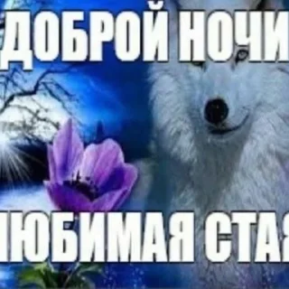 Стикер https://t.me/bebraganginsideyourmom - 7