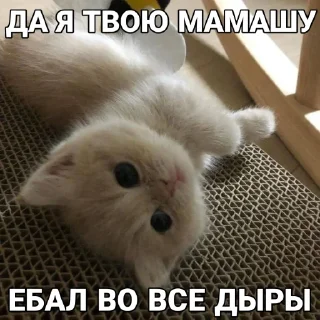 Стикер @deanonq - 7