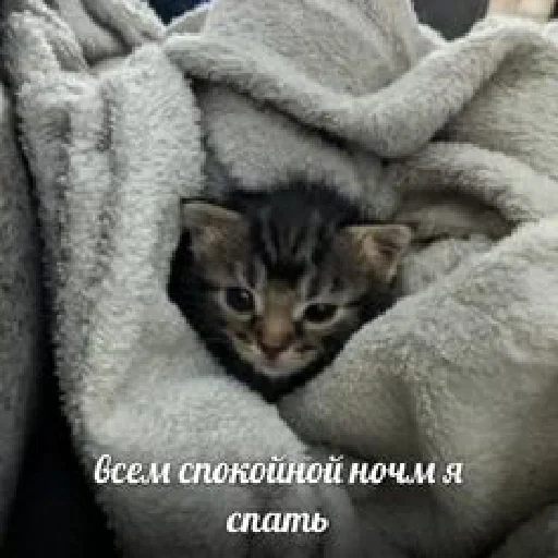 Sticker dearfriends3 - 1