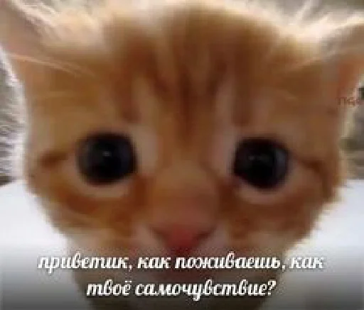 Sticker dearfriends3 - 1