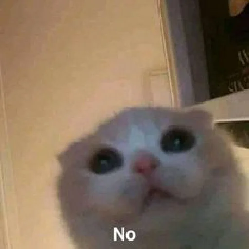 Sticker dearfriends3 - 1