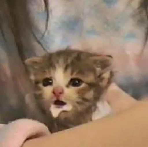 Стикер dearfriends3 - 1