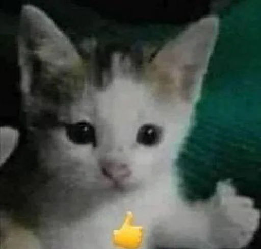 Стикер dearfriends3 - 1