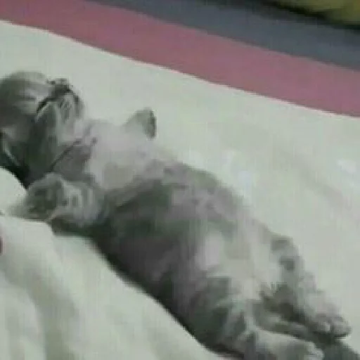 Стикер dearfriends3 - 1