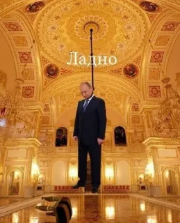 Стикер дорогие суки - 6