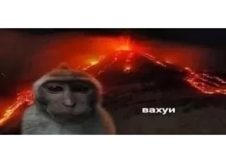 Стикер дорогие суки - 9