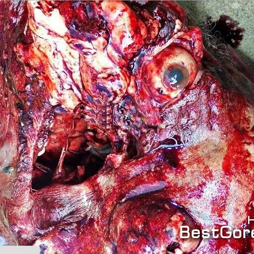 Стикер deathniggerss - 1