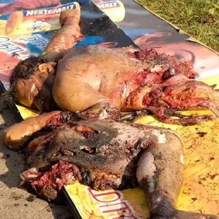 Sticker больше стикеров в @letamortis - 6