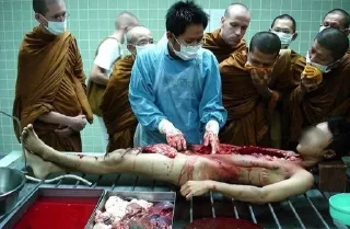 Sticker больше стикеров в @letamortis - 2