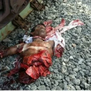 Sticker больше стикеров в @letamortis - 1