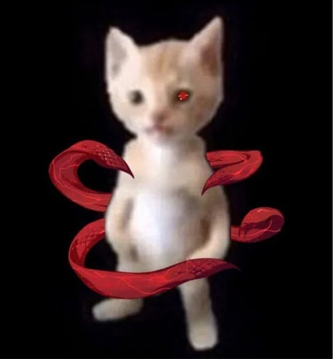 кошка животное кошки малого и среднего размера