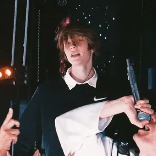 Sticker Дипнис - 3