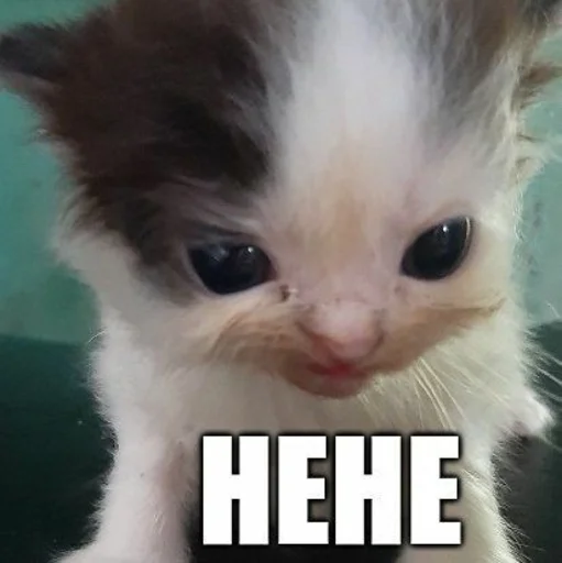 Sticker deeznuts127 - 1