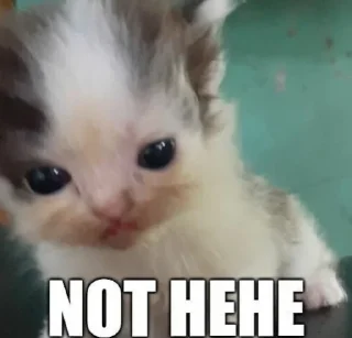 Sticker deeznuts - 5