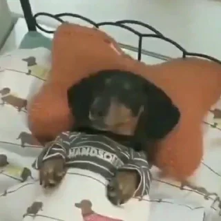 Sticker deeznuts - 11