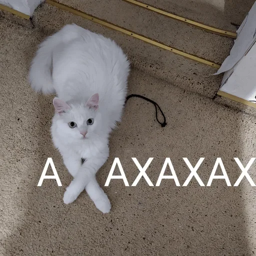 Sticker def_stckr_244689812_by_my_stckers_bot - 1