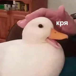 Sticker Your stickers - @my_stckers_bot - 5