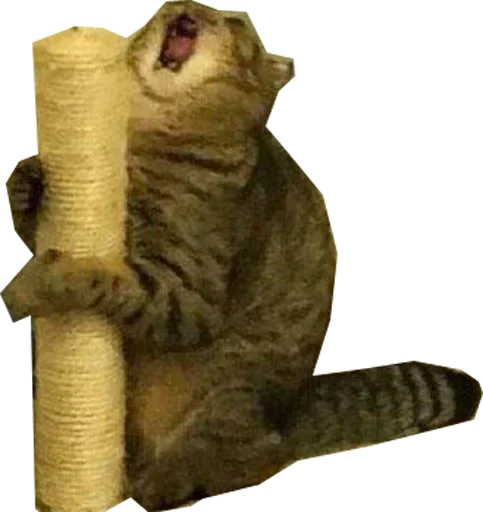 Sticker def_stckr_82224688_by_my_stckers_bot - 1