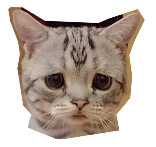 Sticker def_stckr_82224688_by_my_stckers_bot - 1