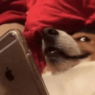 Sticker Your stickers - @my_stckers_bot - 0