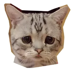 Sticker Your stickers - @my_stckers_bot - 2