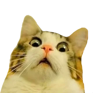 Sticker Your stickers - @my_stckers_bot - 9