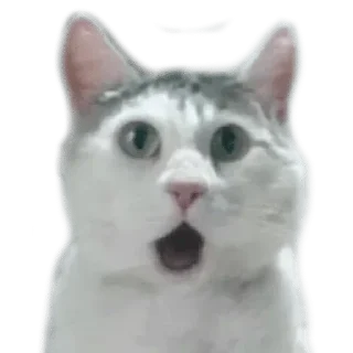 Sticker Your stickers - @my_stckers_bot - 1