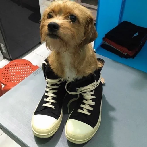 Стикер deflongdick - 1