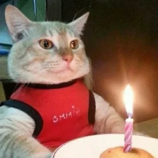 Sticker Sequels @stickersb2b - 7