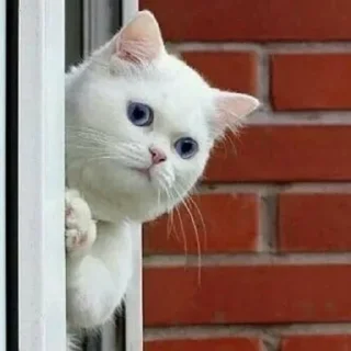 Sticker Sequels @stickersb2b - 3