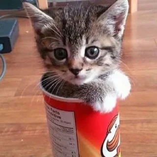 Sticker Sequels @stickersb2b - 9