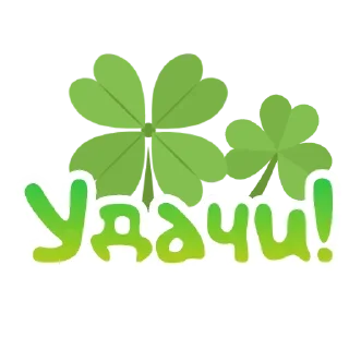 Sticker Fiasco @stickersb2b - 6