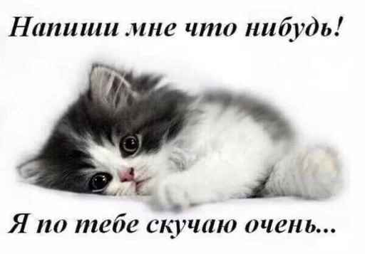 денчик у тебя баба истеричка :: @fStikBot - 