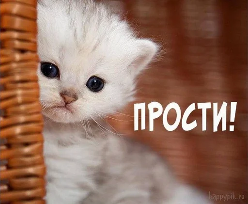 Стикер денчик у тебя баба истеричка :: @fStikBot - 9