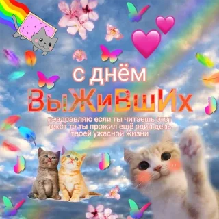 animal text small to medium-sized cats