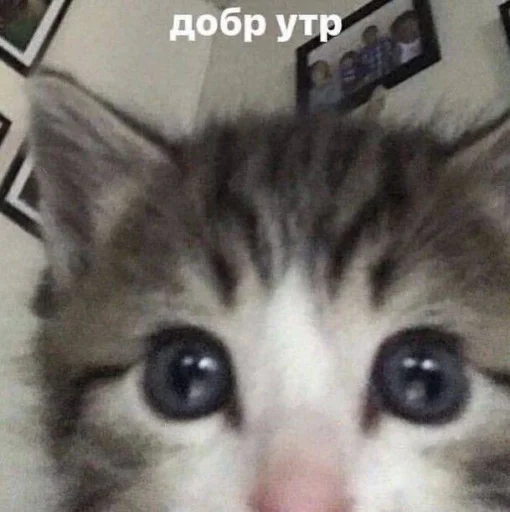 。・°°・(＞_＜)・°°・。 - 