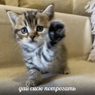 Sticker 。・°°・(＞_＜)・°°・。 - 5