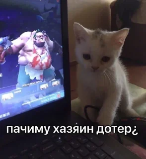 Sticker 。・°°・(＞_＜)・°°・。 - 10