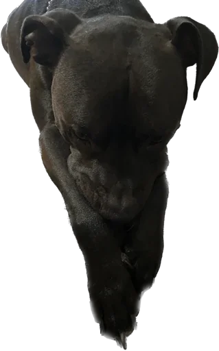 statue art sculpture