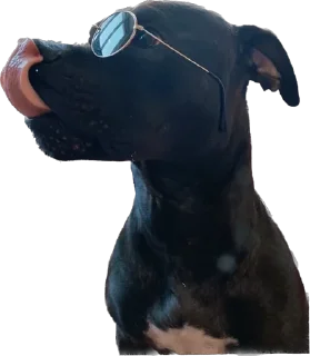 Sticker Депутат - 9