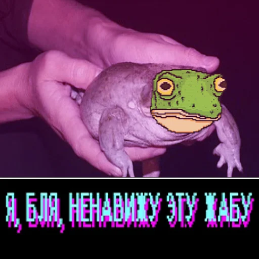 frog text amphibian