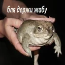 na jabu - животное