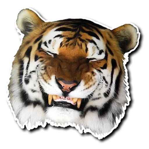 Sticker derpykitties - 1