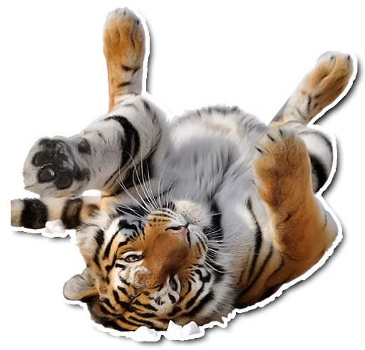 Sticker derpykitties - 1