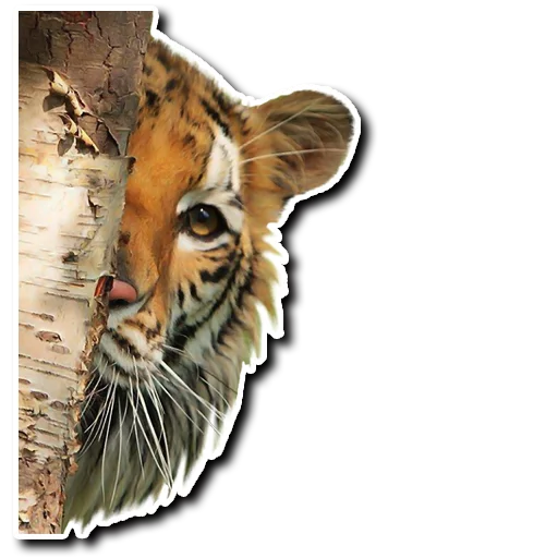 Sticker derpykitties - 1