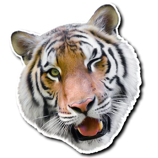 Sticker derpykitties - 1