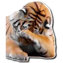 Sticker Derptacular Felines - 6