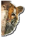 Sticker Derptacular Felines - 1