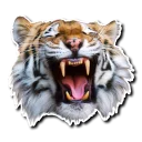 Sticker Derptacular Felines - 9